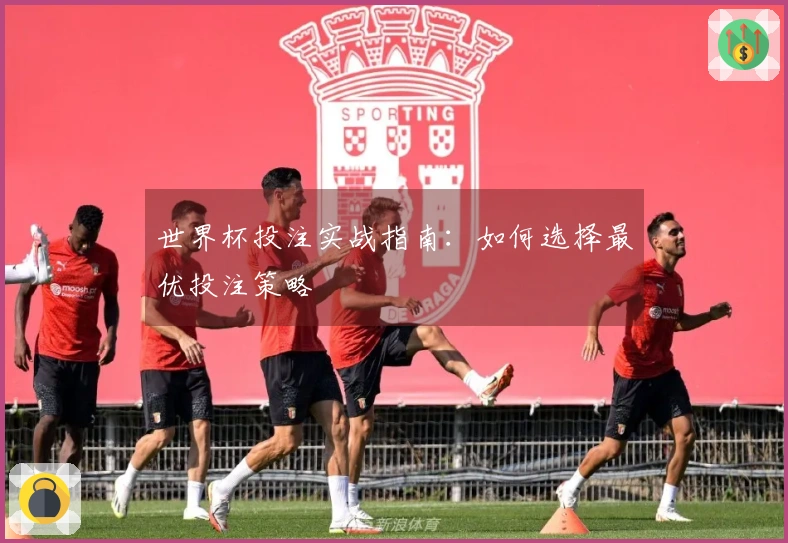 世界杯投注实战指南：如何选择最优投注策略