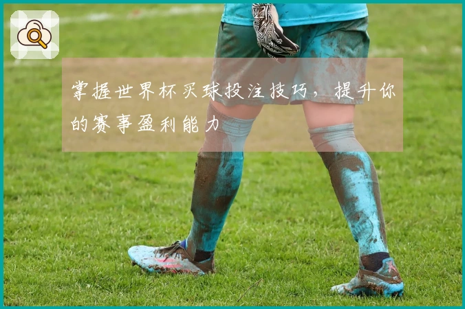 掌握世界杯买球投注技巧，提升你的赛事盈利能力
