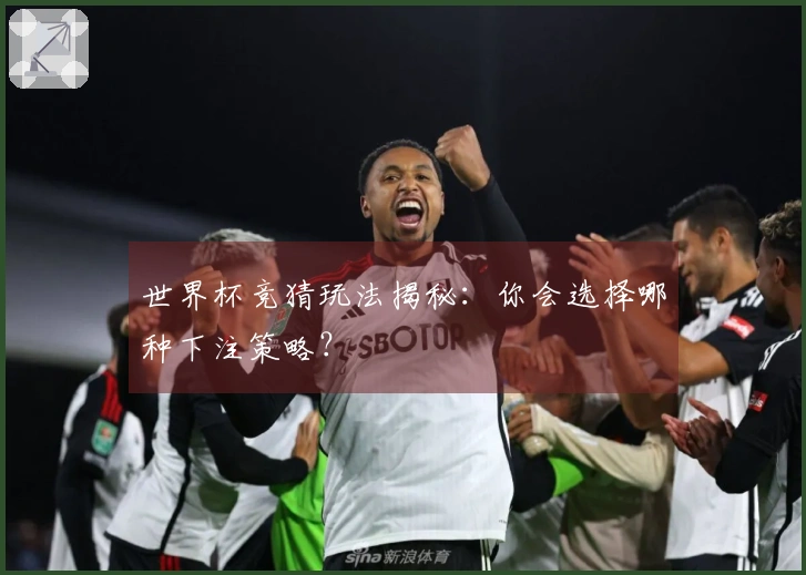 世界杯竞猜玩法揭秘：你会选择哪种下注策略？