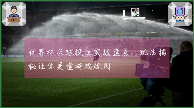 世界杯买球投注实战盘点，玩法揭秘让你更懂游戏规则