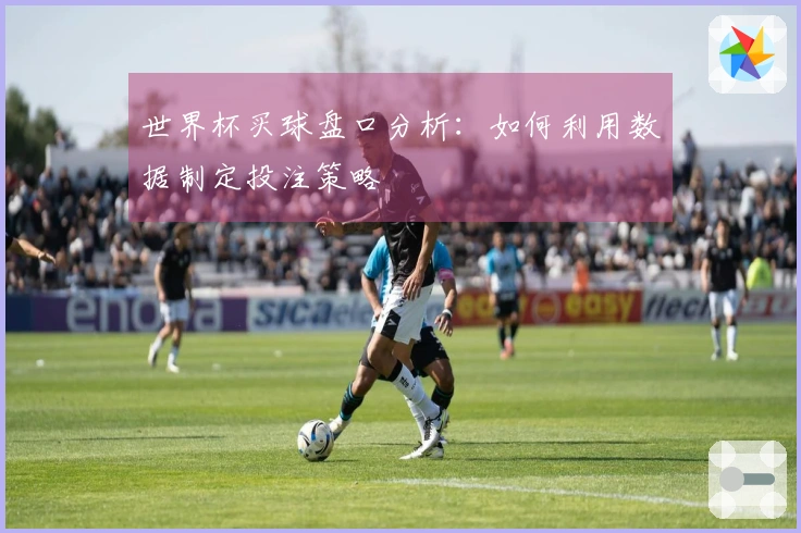 世界杯买球盘口分析：如何利用数据制定投注策略