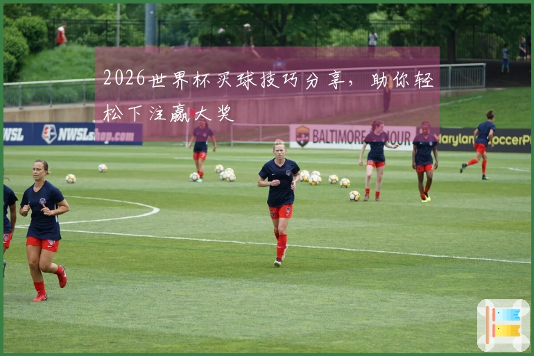2026世界杯买球技巧分享，助你轻松下注赢大奖