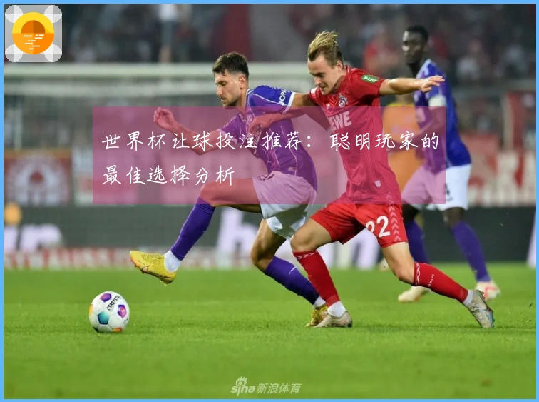 世界杯让球投注推荐：聪明玩家的最佳选择分析